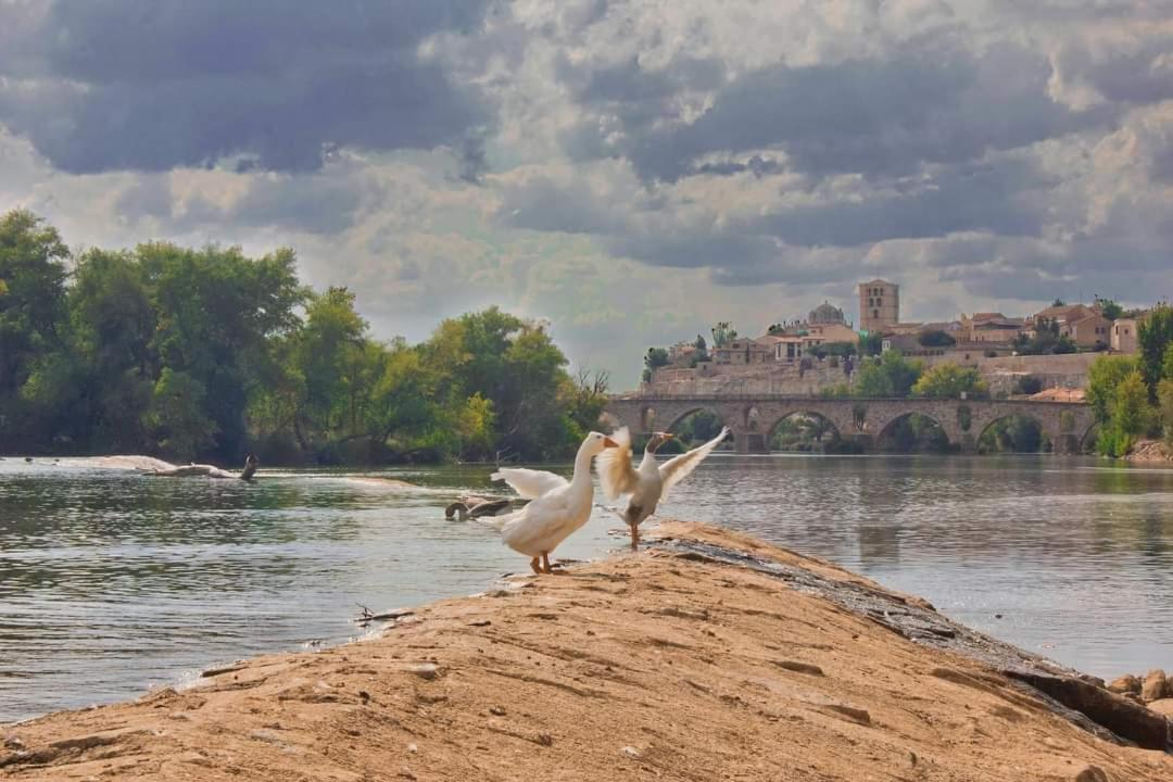 Appartamento A Ojos Del Rio Duero Zamora