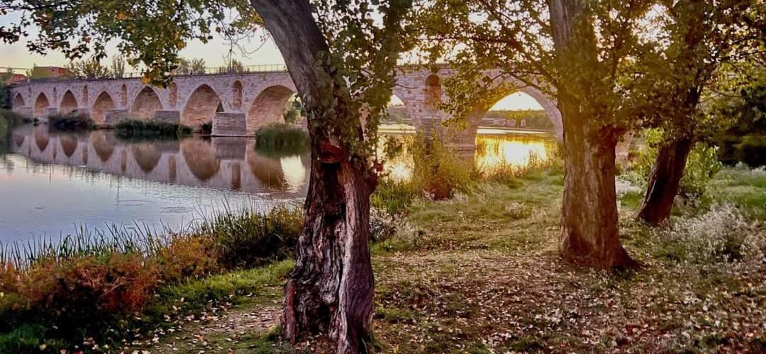 Appartamento A Ojos Del Rio Duero *