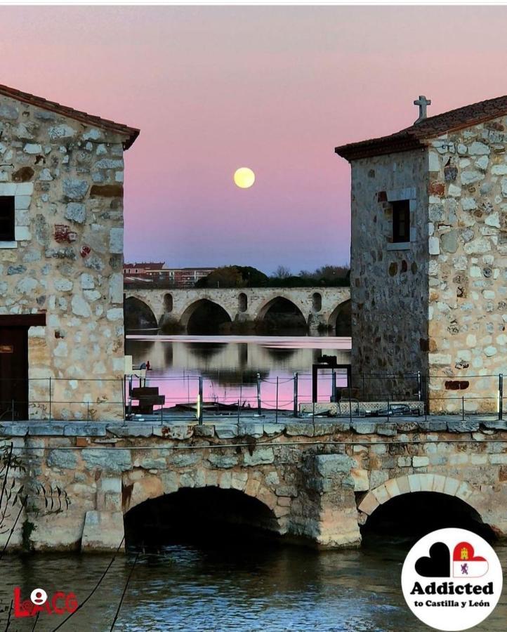 A Ojos Del Rio Duero Appartamento