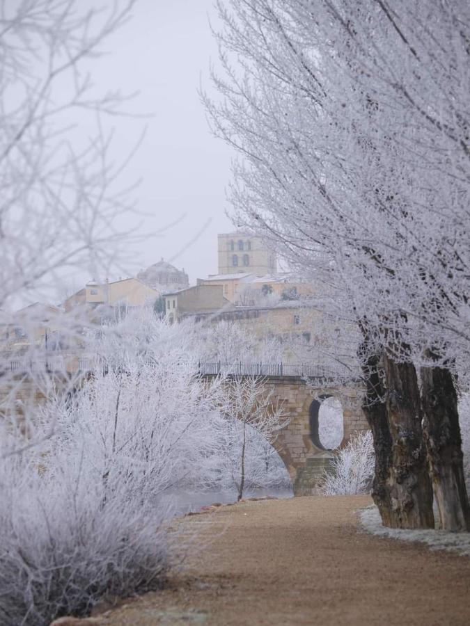 A Ojos Del Rio Duero * Zamora